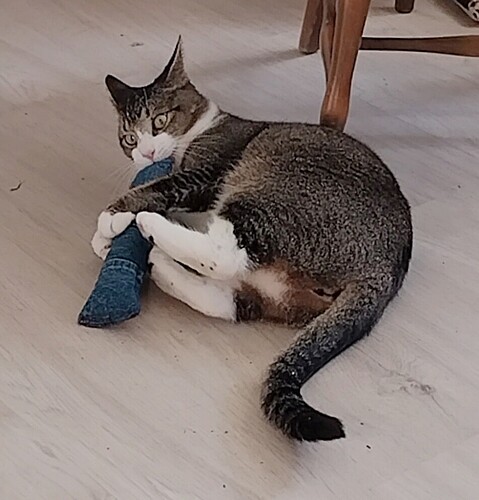 Screenshot_20251009_090014_edit_1031034931632626