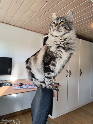 IMG_20240916_084205462_HDR