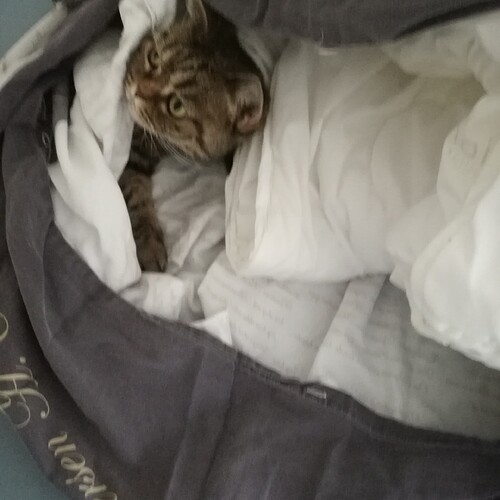 IMG_20191011_171936_935