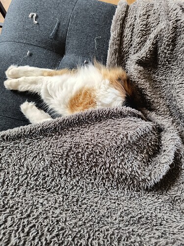 IMG_20250518_173458656_HDR