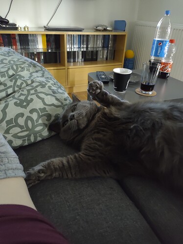 IMG_20210815_101543884