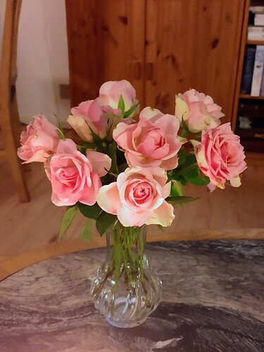 IMG_20220129_181556089~2