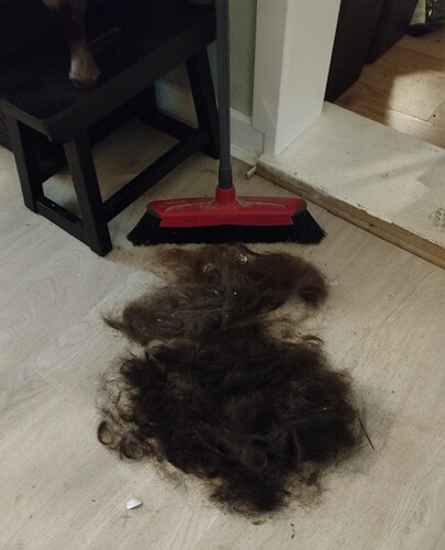 IMG_20250525_170946_edit_86592903898892