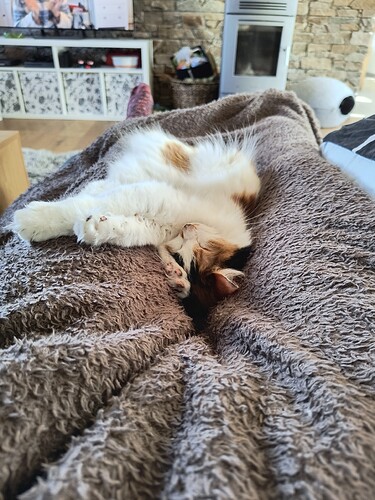 IMG_20260404_142427160_HDR