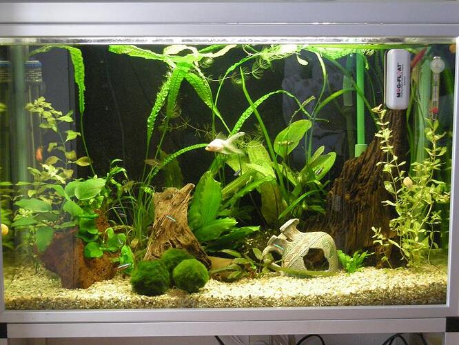 160 Liters Astas (2)