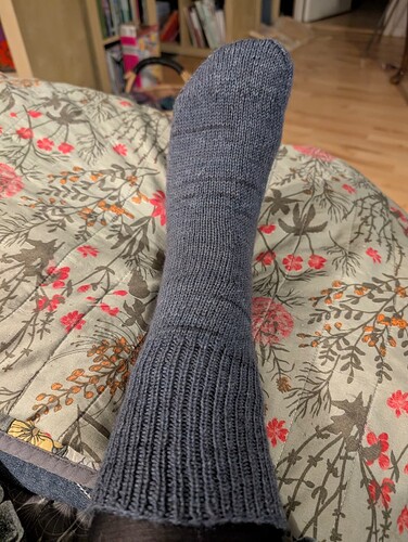 PXL_20260112_163820730.MP