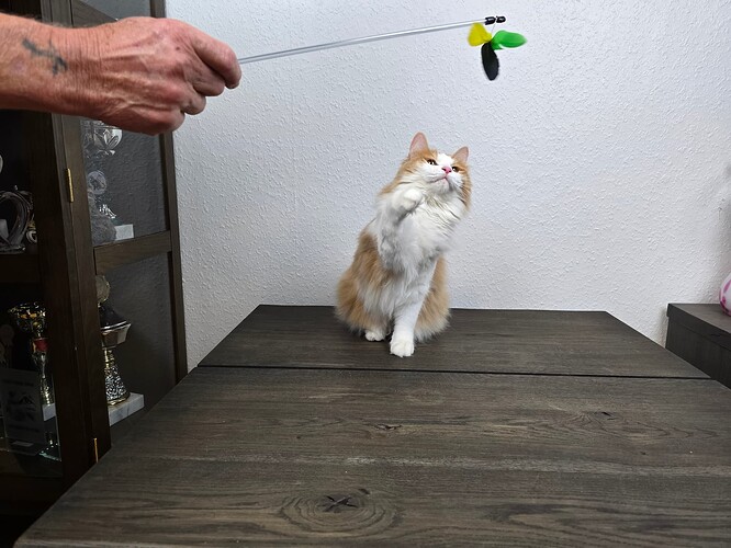 20251013_092937