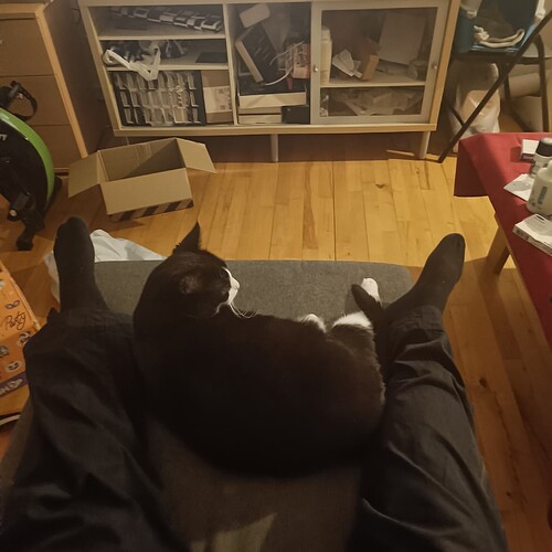 IMG20240216192653