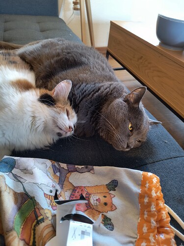 IMG_20250526_185020115