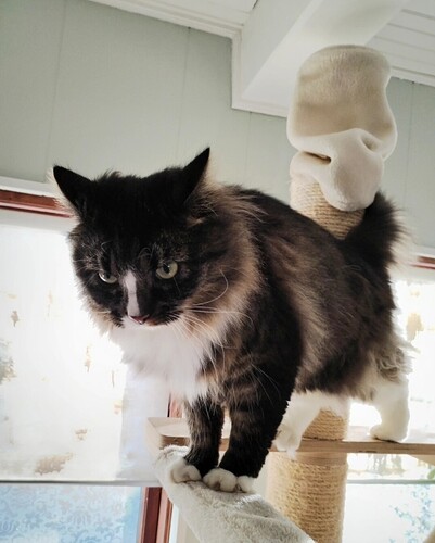 Screenshot_20251117_102601_edit_2171201919158518