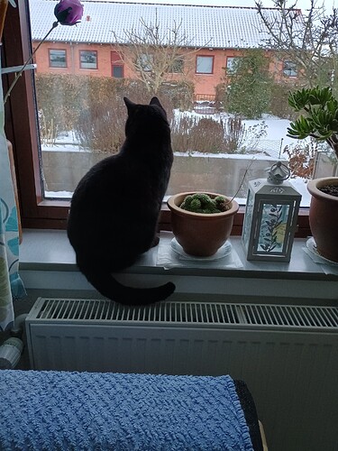 IMG_20260104_092138179_HDR