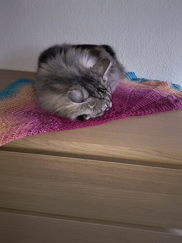 IMG_20251118_135400399