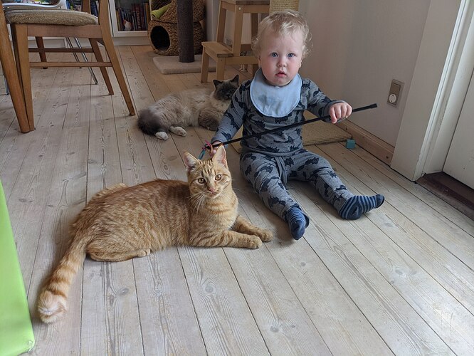 IMG_20200508_085907_MP