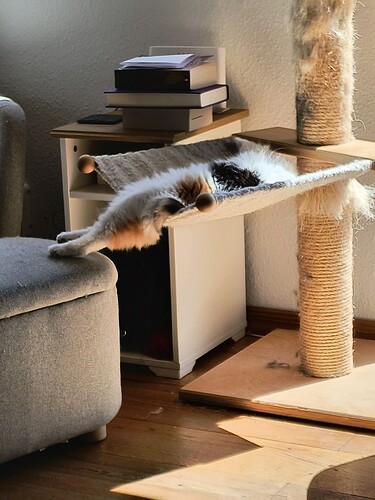 IMG_20250518_140828217_HDR