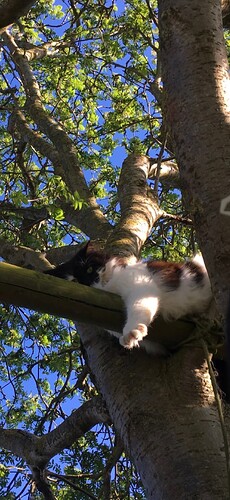 Screenshot_20260301_161900_Gallery