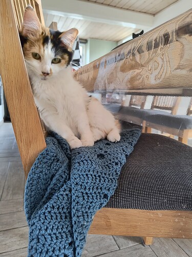 IMG_20250412_122448427_HDR