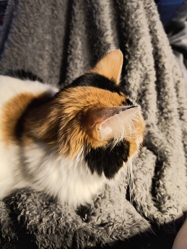 IMG_20260101_154433296_HDR