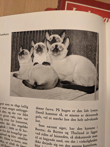 PXL_20210209_171633782