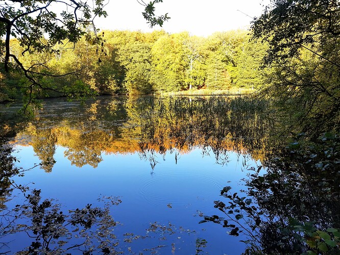 elversøen-19.10.22-02
