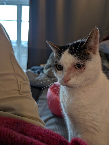 PXL_20260410_150814988.MP