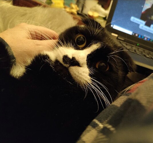 IMG_20241230_081855_edit_1020400894217515