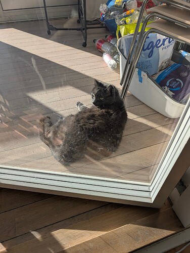 PXL_20260304_144247621.MP