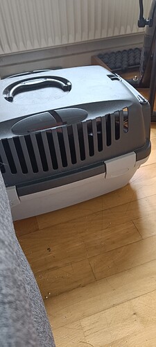 IMG20240529180522