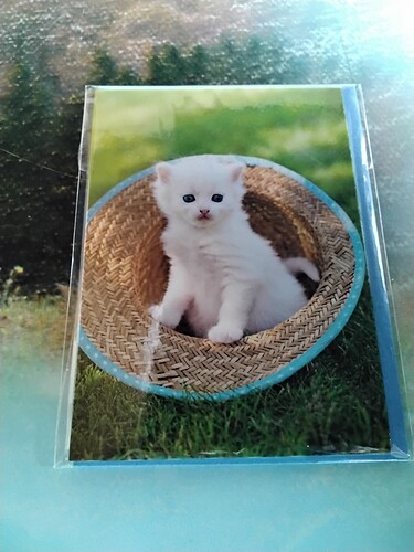 16471586352447691536688551566805