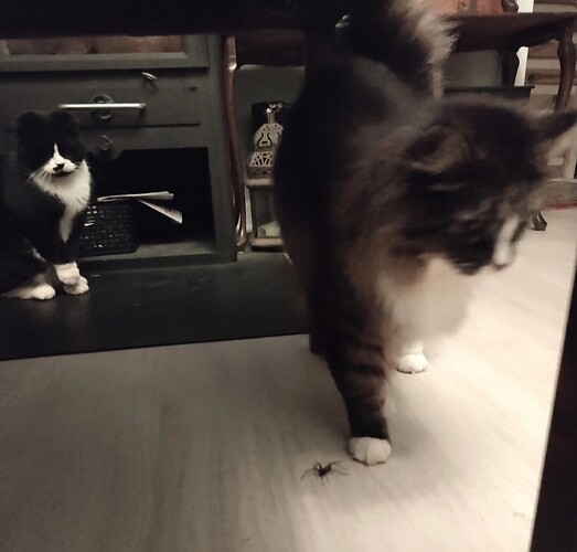 Screenshot_20250516_230358_edit_1493244191842139