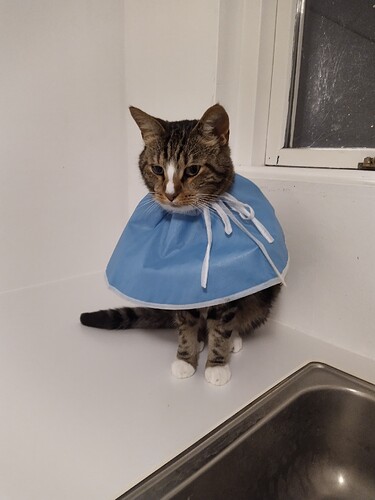 IMG_20250902_224325_1