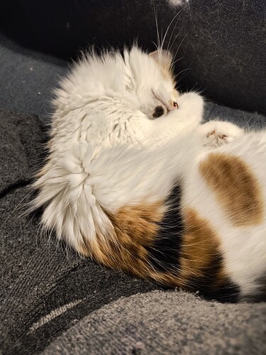 IMG_20260403_200505051_HDR