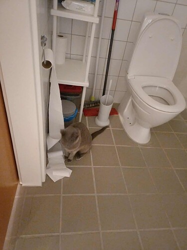 588988849_1411639937338600_690373965955667115_n