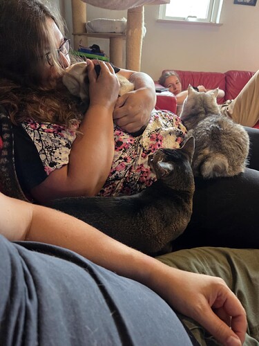 Messenger_creation_474C0CA3-373D-4E6B-BC79-2024C609C6B7