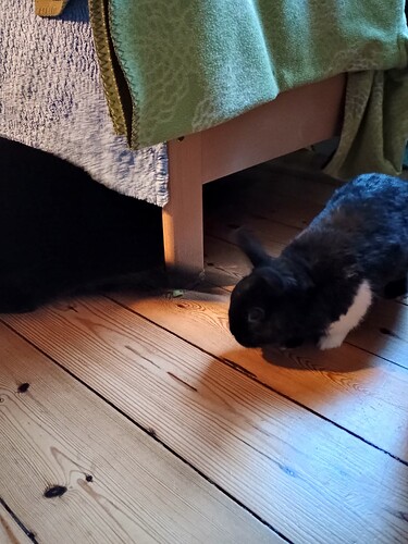 IMG_20251109_081958629