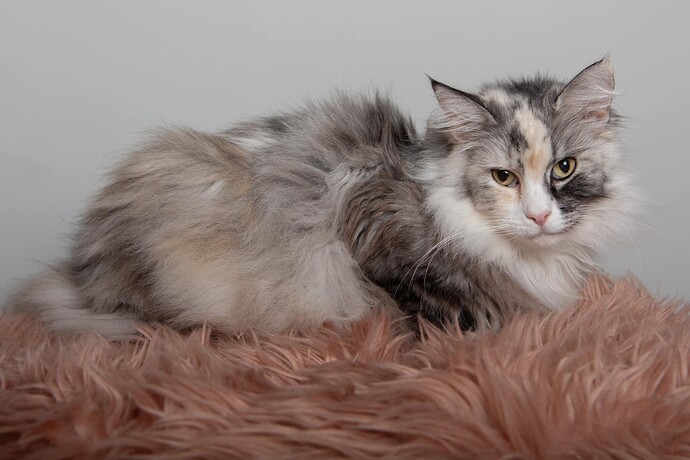 514347929_10162653337240266_9059710878664055188_n