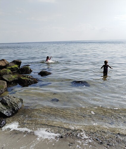 IMG_20250809_170259_edit_550230563852655