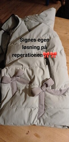 Messenger_creation_697CDFAC-C357-4F38-8AA1-E43C9DC6221F