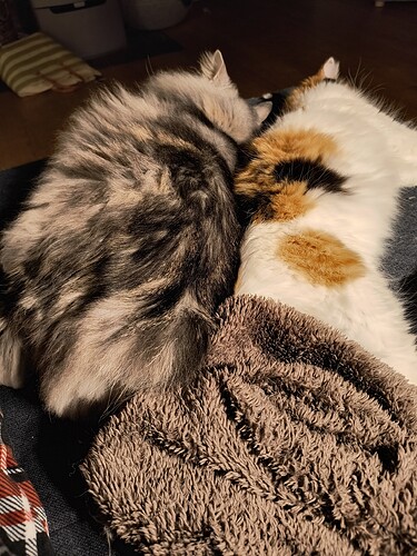 IMG_20250915_203328383_HDR