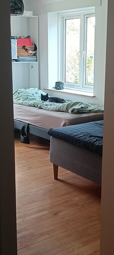 IMG20240510133754
