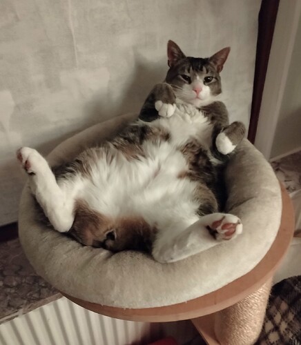 IMG_20260403_000036_edit_98774625260912