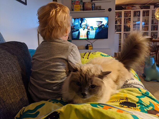 PXL_20201122_072630241