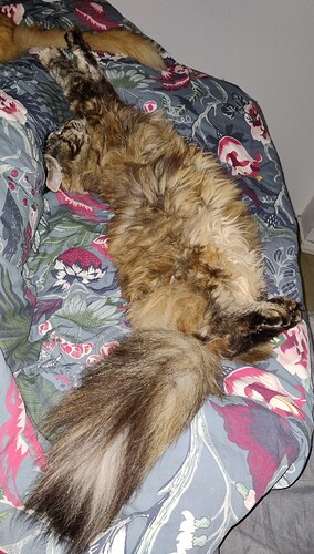 IMG_20210813_230619~2