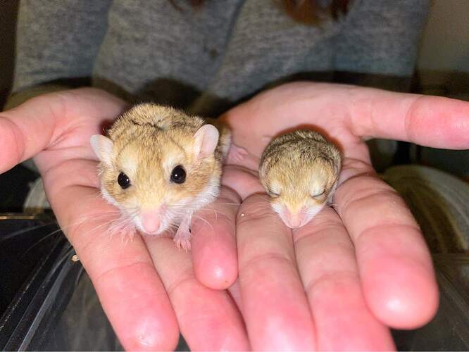 received_647828249870327