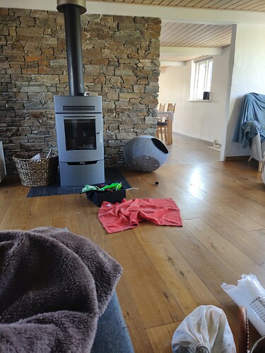 IMG_20240511_081650958