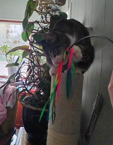 IMG_20251020_155455_edit_1398231243391613