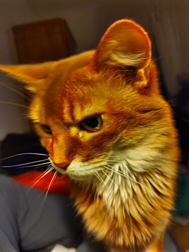 IMG_20240313_233028_hdr