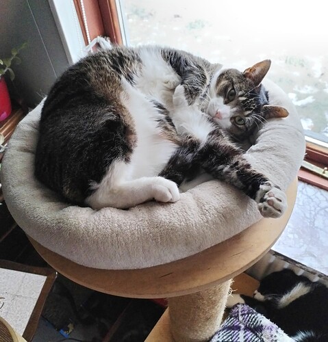 IMG_20260204_144714_edit_546735934622058