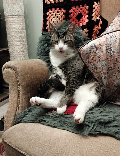 IMG_20260414_233314_edit_552696666167494