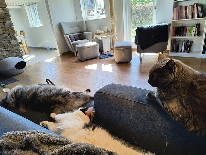 IMG_20250426_105249479_HDR