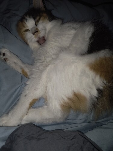 IMG_20251015_053520702